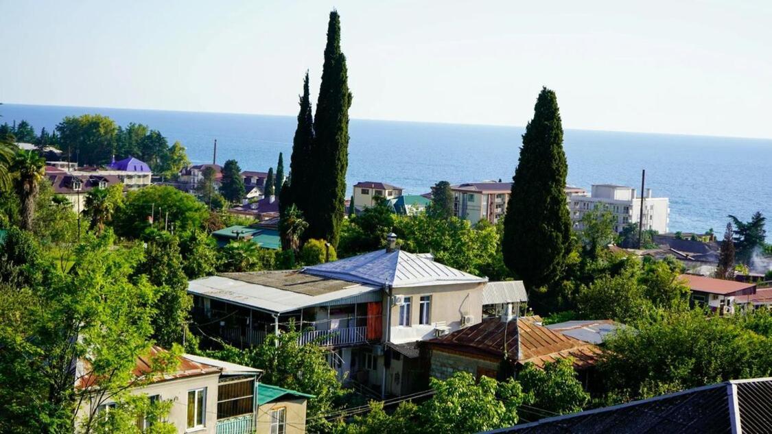 Вита Гагра Экстерьер фото